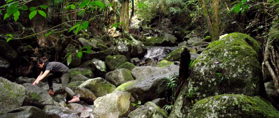 bushwalking-to-westrays-grave-lamington-national-park