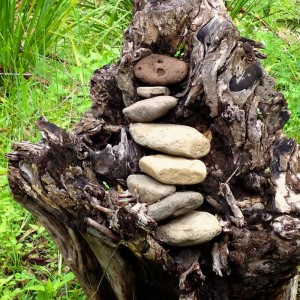 garden-Nightfall-camp-scenic-rim-accommodation