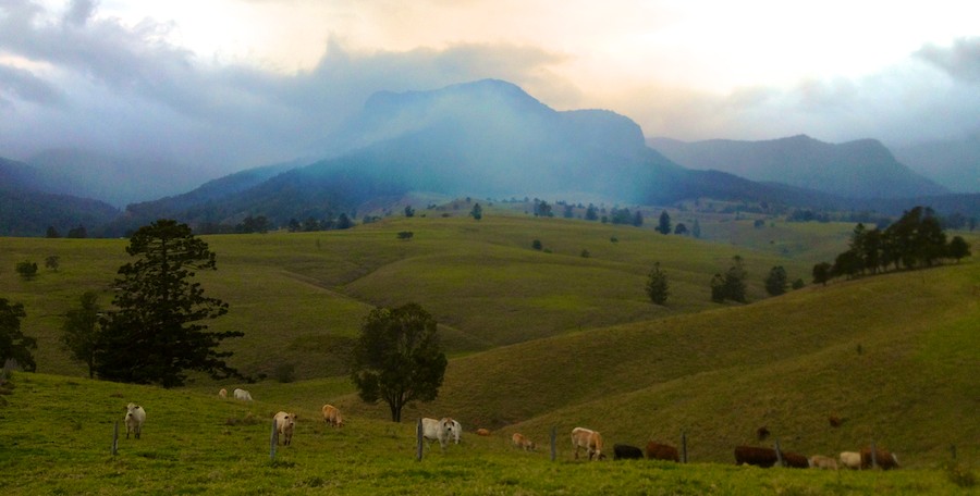 fire-at-widgee-at-lost-world-scenic-rim