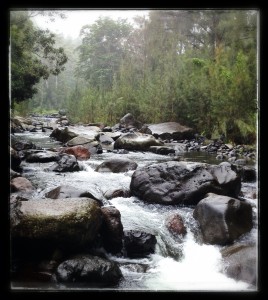 rain-adds-atmosphere-christmas-creek-Nightfall-camp