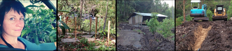 Nightfall-camp-revegetation